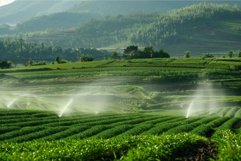 Water sprinklers irrigating crops on agricultural field in t Product Image 1