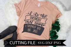 Thought that Counts - Jail - Funny Shirt - Hand Lettered SVG Product Image 1