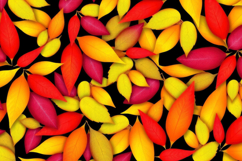 Colorful Autumn Leaves Background Product Image 1