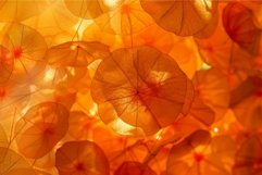 Warm glow through translucent orange leaves Product Image 1