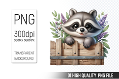 Cute Raccoon Clipart PNG, Printable Animals, Wildlife Design Product Image 1