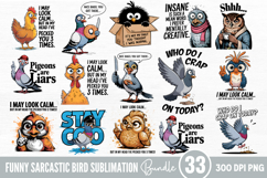 Funny Sarcastic Bird Sublimation Bundle PNG Product Image 1