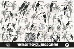 Vintage Tropical Birds Clipart Product Image 1