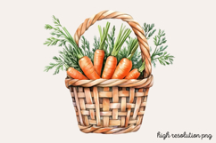 Carrot Watercolor Clipart PNG Product Image 1