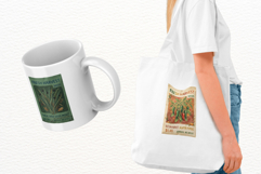 Autumn Vegetable Seeds Packet Clipart Product Image 3