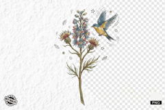 1920 Botanical Summer Wildflowers Clipart Product Image 1
