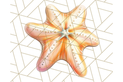 Natural Seashell Clipart PNG, Summer Nautical Beach Shell Product Image 5
