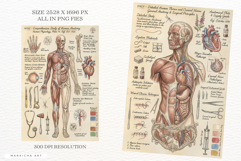 Ephemera Anatomy Junk Journal Pages Product Image 3