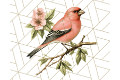 Vintage Song Bird Clipart PNG, Botanical Bird Art Clip Art Product Image 5