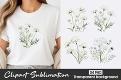 White Wildflower Watercolor Clipart PNG Product Image 1
