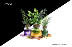 Watercolor bottle and herbs clipart Product Image 1