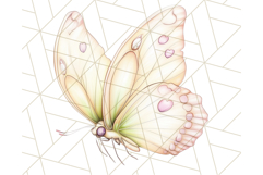 Pastel Fairies and Butterflies PNG, Spring Fantasy Clipart Product Image 5