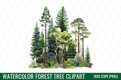 Watercolor Forest Tree Clipart Product Image 1