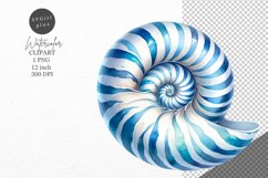 Summer clipart, Shell clipart, Beach clipart Product Image 1