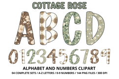 Cottage Floral Alphabet PNG Letters &amp; Numbers 300DPI Product Image 1