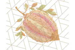 Fall Foliage Clipart PNG, Pink and Green Leaves Product Image 5