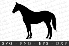 Horse SVG | SVG Cut files | Cricut Product Image 1