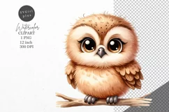 Owl clipart, Nursery clipart, Woodland Product Image 1