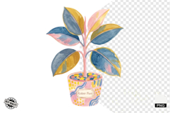 Charm Summer Houseplant Clipart Product Image 1