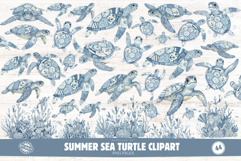 Summer Sea Turtle Clipart Product Image 1