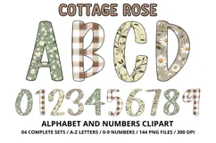 Cottage Floral Alphabet PNG Letters & Numbers 300DPI Product Image 1