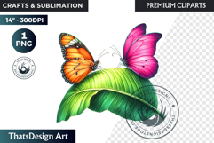 Tropical Butterfly &amp; Flower Clipart: Vibrant floral PNG Product Image 1