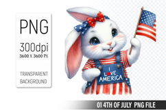 4th Of July Bunny Sublimation Clipart PNG Design Product Image 1