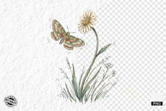 Summer Daisy Breeze Meadow Clipart Product Image 1