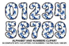 Coquette Shabby Chic Alphabet PNG Letters &amp; Numbers 300DPI Product Image 5