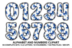 Coquette Shabby Chic Alphabet PNG Letters & Numbers 300DPI Product Image 5