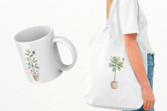 Summer Housplants Clipart Product Image 3