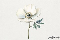 Wild flowers butterflies and dragonfly Clipart PNG Product Image 1