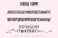 Daisy Calm - Handwritten Brush Font Product Image 21