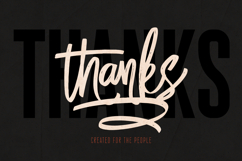 Proforma Display &amp; Script Font Duo Product Image 21