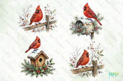 Vintage Winter Bird Clipart Product Image 1