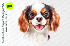 Charming Cavalier King Charles Spaniel Dog Head Portrait PNG Product Image 1