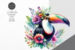 Toucan clipart, Bird clipart, Tropic clipart Product Image 1