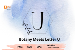 Botany Meets Letter Product Image 1