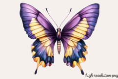Colorful Spring Butterfly Clipart PNG Product Image 1
