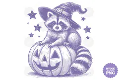 Vintage Funny Sarcastic Feral Witch Raccoon Halloween PNG Product Image 1