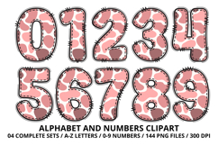 Romantic Coquette Alphabet PNG Letters &amp; Numbers 300DPI Product Image 5