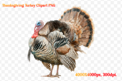Watercolor Thanksgiving Turkey Clipart PNG Product Image 1