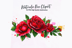 Watercolor rose bouquet clipart sublimation Product Image 1