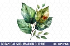Botanical Sublimation Clipart Product Image 1