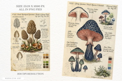 Ephemera Mushrooms Junk Journal Pages - Junk Journal Pack Product Image 3