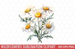 Wildflowers Sublimation Clipart Product Image 1