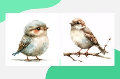Cute Sparrow Bird Baby Watercolor illustration Set 4 Product Image 2
