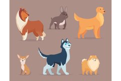 Dogs breeds. Domestic animals funny puppy sitting walking ju Product Image 1