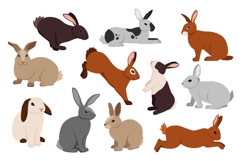 Cartoon hare. Cute bunny in different poses. Fluffy farm rab Product Image 1
