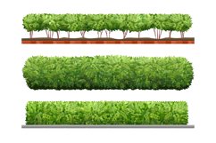 Green hedge, bushes collection Product Image 1